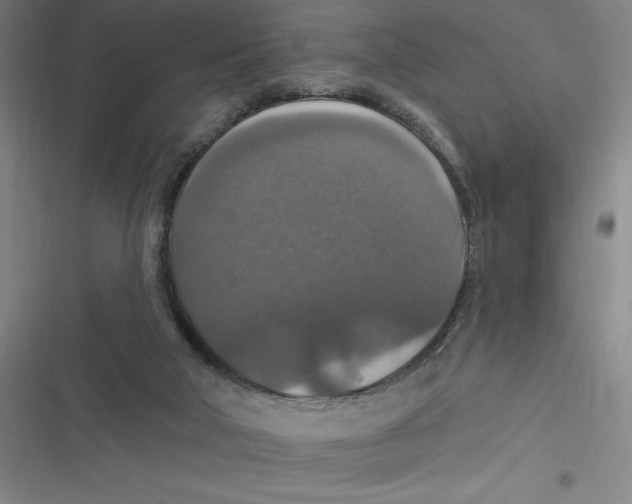 X0000116790018201001081323