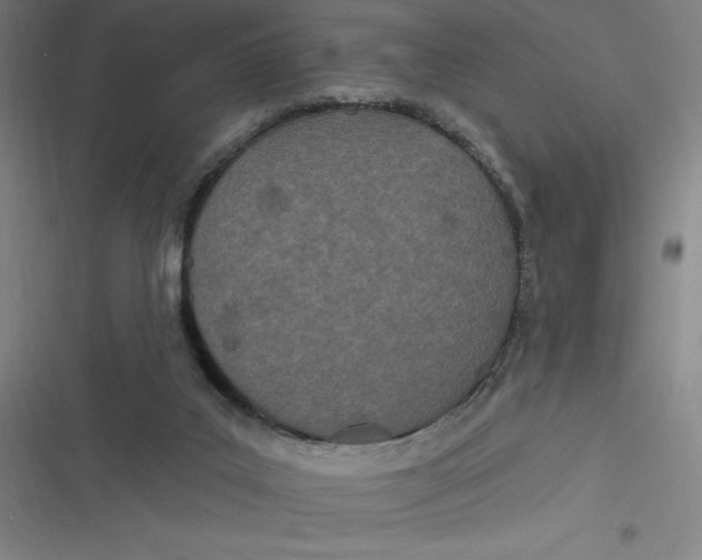 X0000116790019201001081323