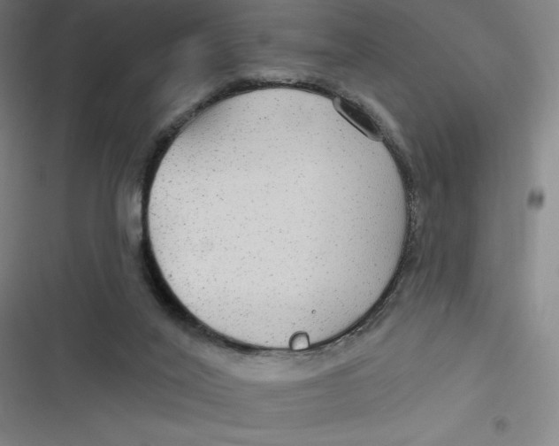 X0000116790020201001081323