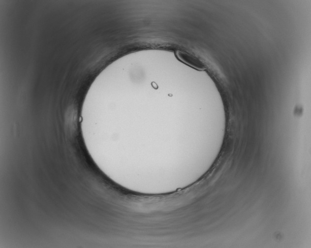 X0000116790021201001081323