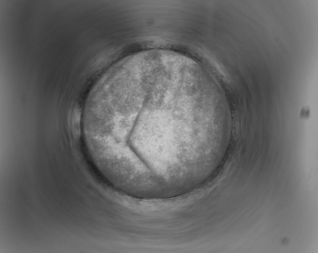 X0000116790022201001081323