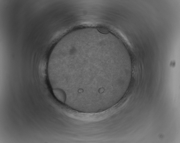 X0000116790023201001081323