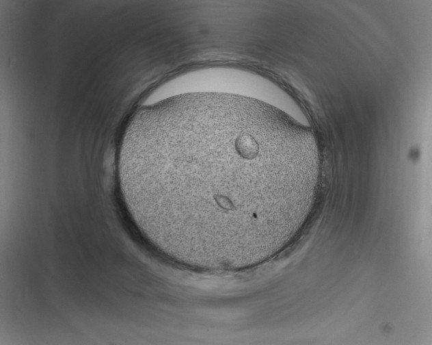 X0000116790024201001081323