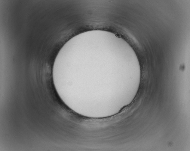 X0000116790025201001081323