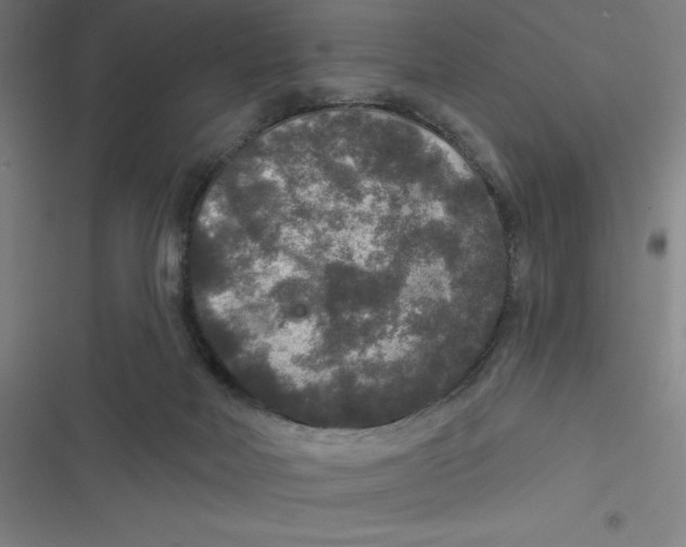 X0000116790026201001081323