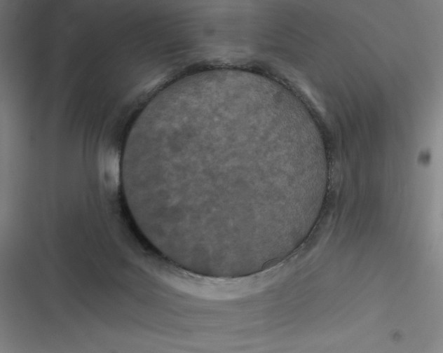 X0000116790027201001081323