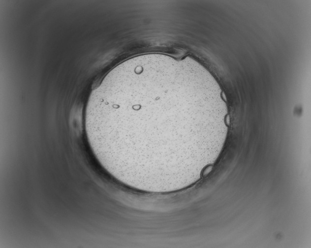 X0000116790028201001081323