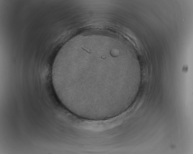 X0000116790029201001081323