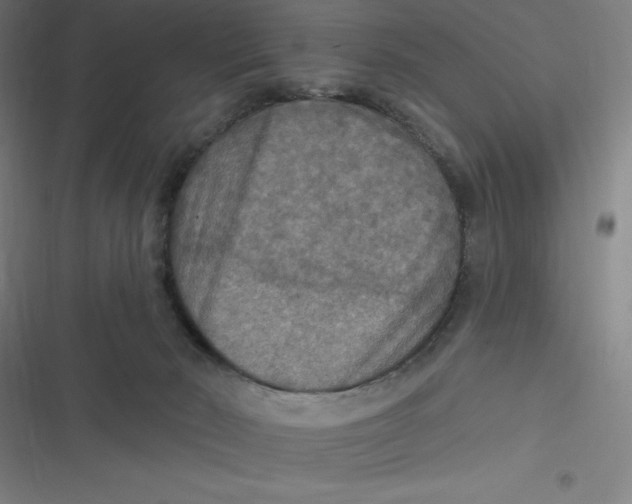 X0000116790030201001081323