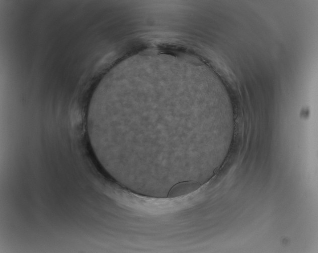 X0000116790031201001081323