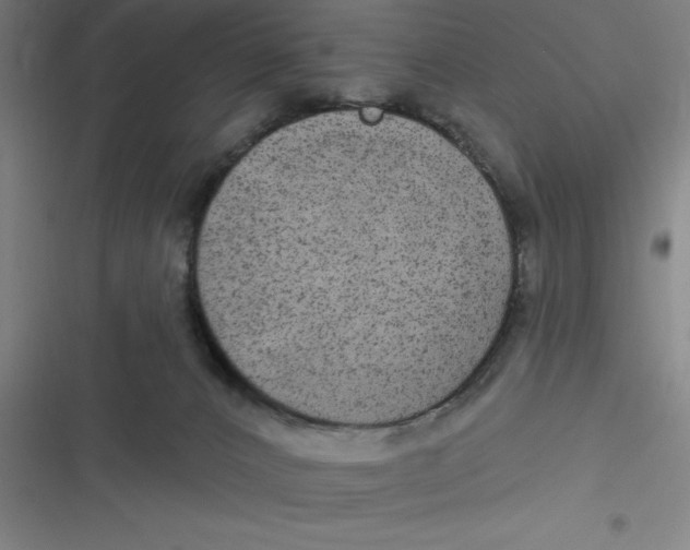 X0000116790032201001081323