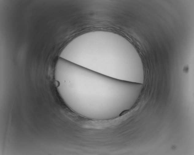 X0000116790033201001081323