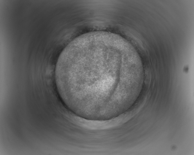 X0000116790034201001081323