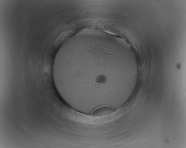 X0000116790035201001081323