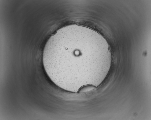 X0000116790036201001081323