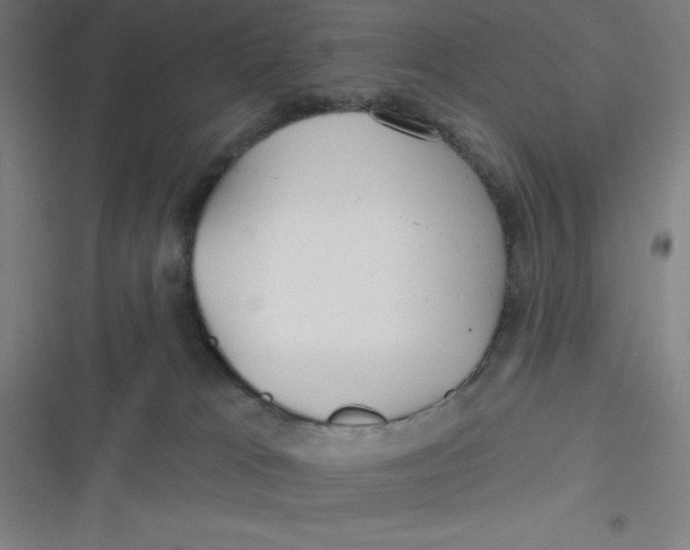 X0000116790037201001081323