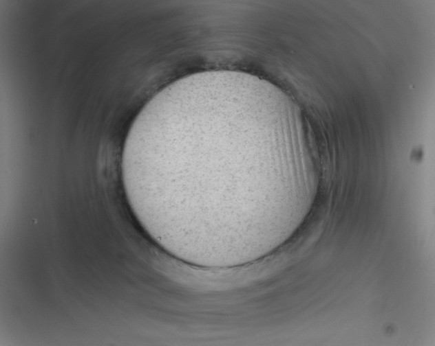 X0000116790038201001081323