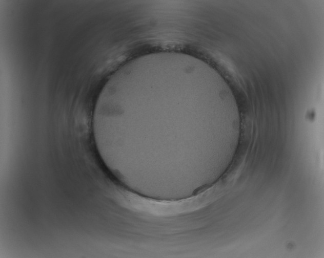 X0000116790039201001081323