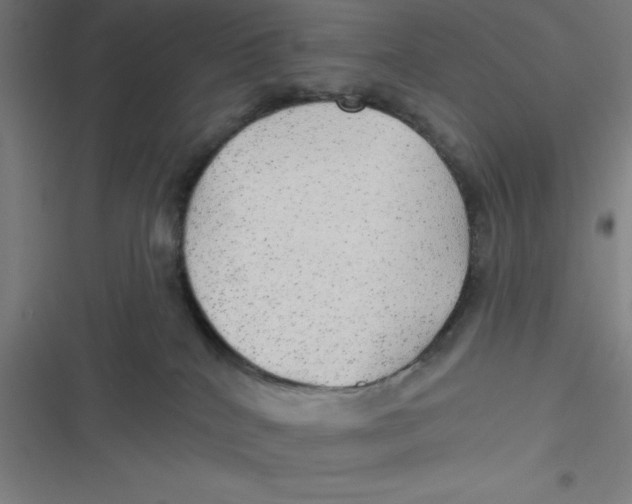 X0000116790040201001081323