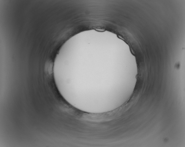 X0000116790041201001081323