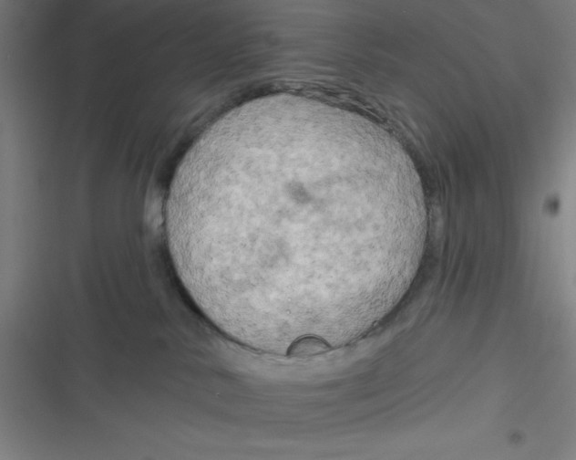 X0000116790042201001081323