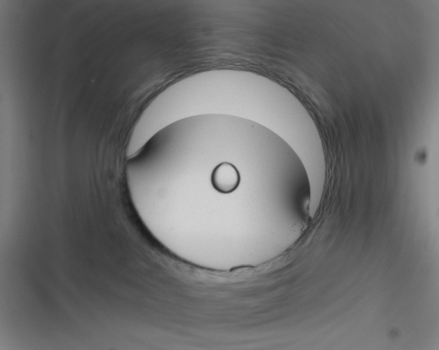 X0000116790043201001081323