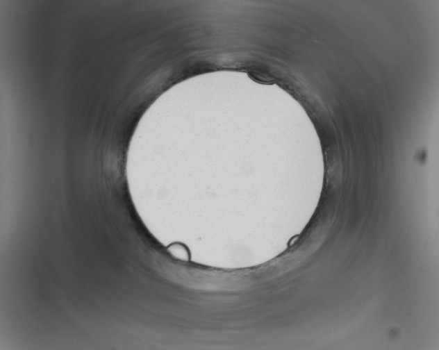 X0000116790044201001081322