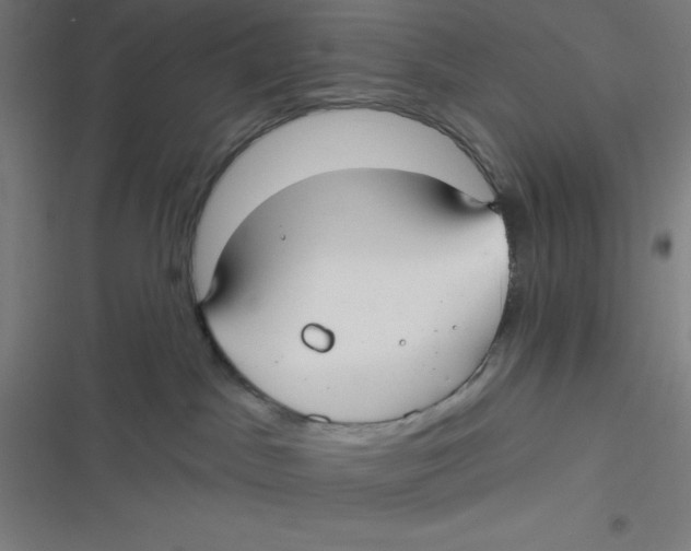 X0000116790045201001081322