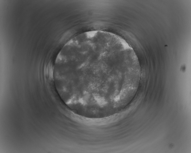 X0000116790046201001081322