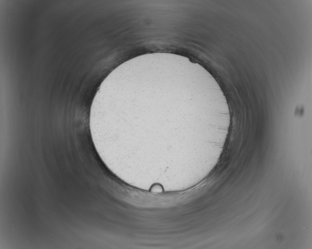 X0000116790048201001081322