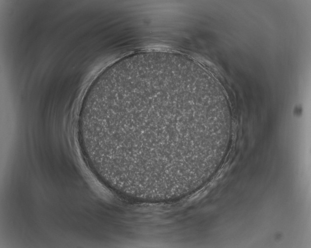 X0000116790049201001081322