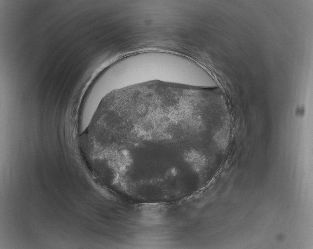 X0000116790050201001081322