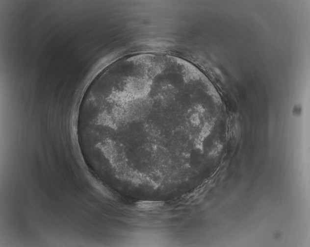 X0000116790051201001081322