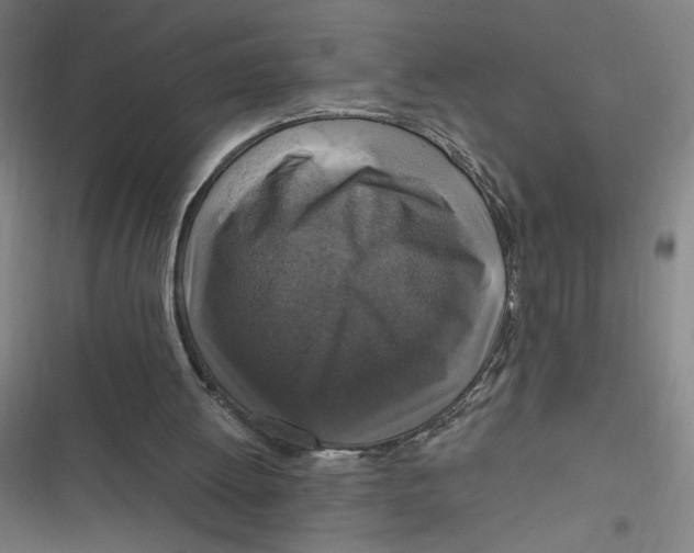 X0000116790052201001081322