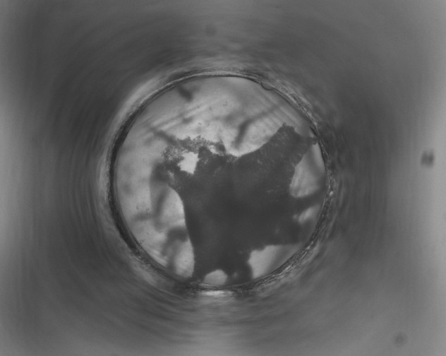 X0000116790053201001081322