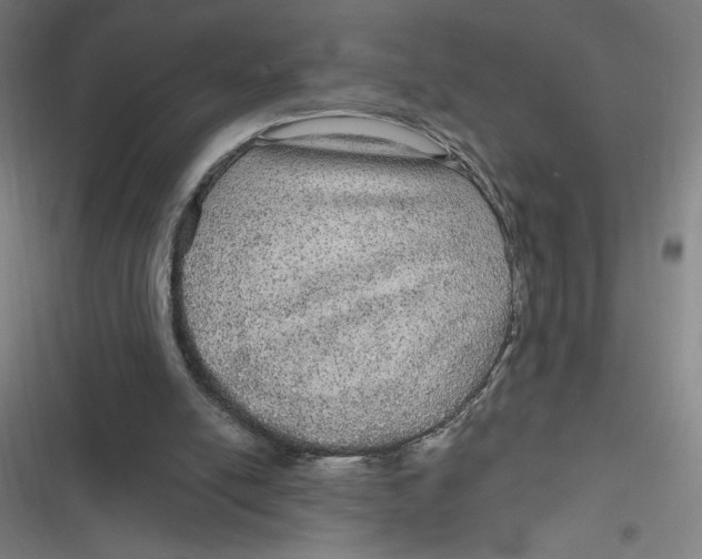 X0000116790054201001081322