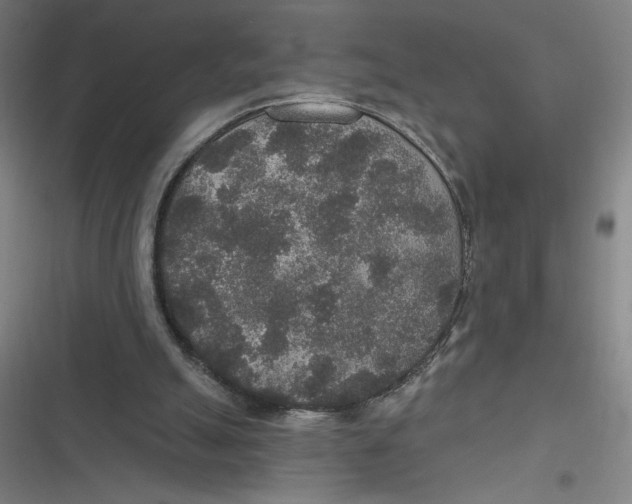 X0000116790055201001081322