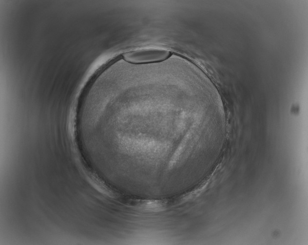 X0000116790056201001081322