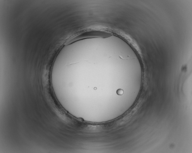 X0000116790057201001081322