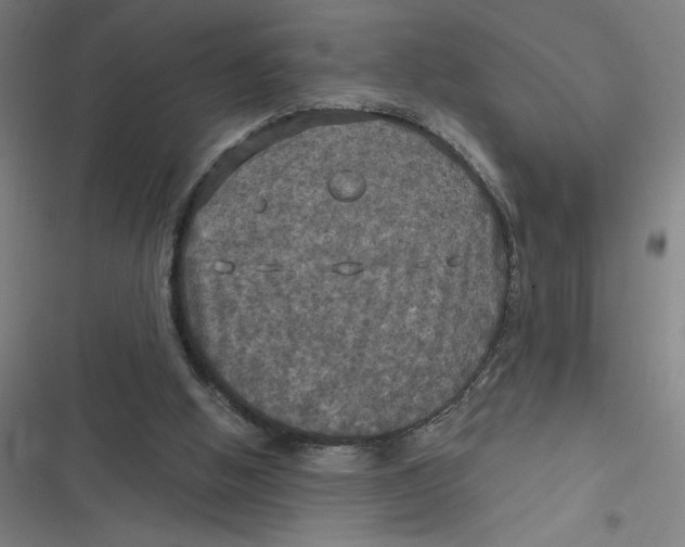 X0000116790058201001081322