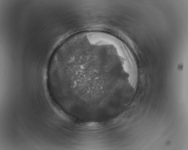 X0000116790059201001081322