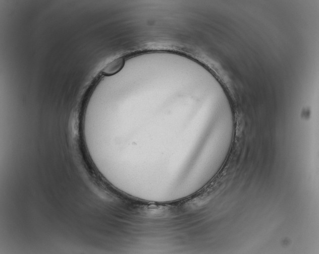 X0000116790060201001081322