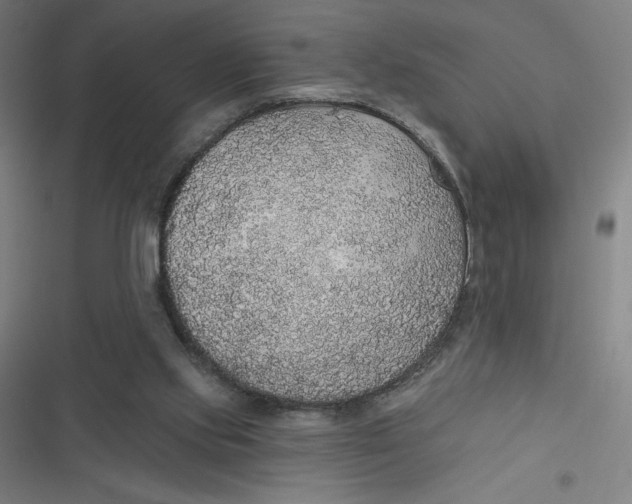 X0000116790061201001081322