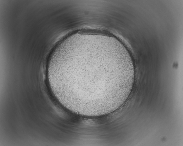 X0000116790062201001081322