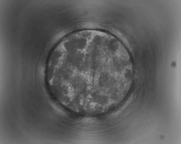 X0000116790063201001081322