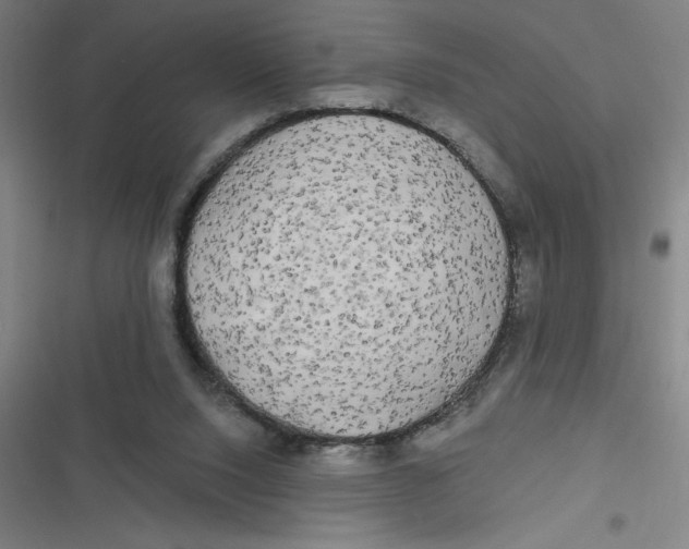 X0000116790064201001081322