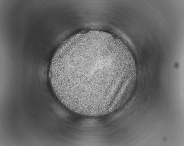 X0000116790065201001081322