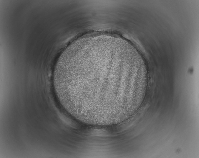 X0000116790066201001081322