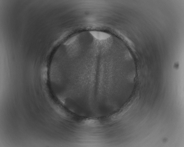 X0000116790067201001081322