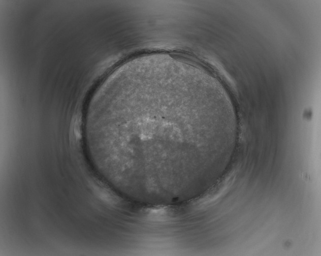 X0000116790068201001081322